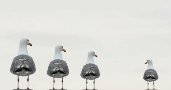 Uitzendkracht voelt zich vaak niet betrokken bij inlener