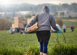 Informatieplicht registratie arbeidsmigranten niet in nieuwe toelatingsstelsel uitzendbranche