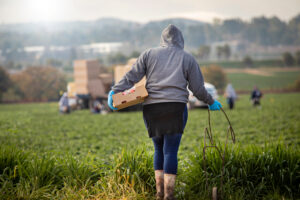 arbeidmigranten