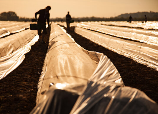Aantal flexwerkers nam met 30 duizend af in eerste kwartaal