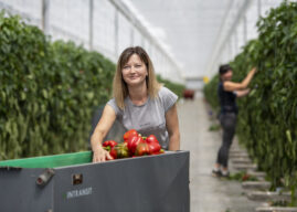 Digitale vernieuwing HollandZorg verbetert zorgtoegang arbeidsmigranten