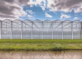 NLA intensiveert controles in glastuinbouw in 2026